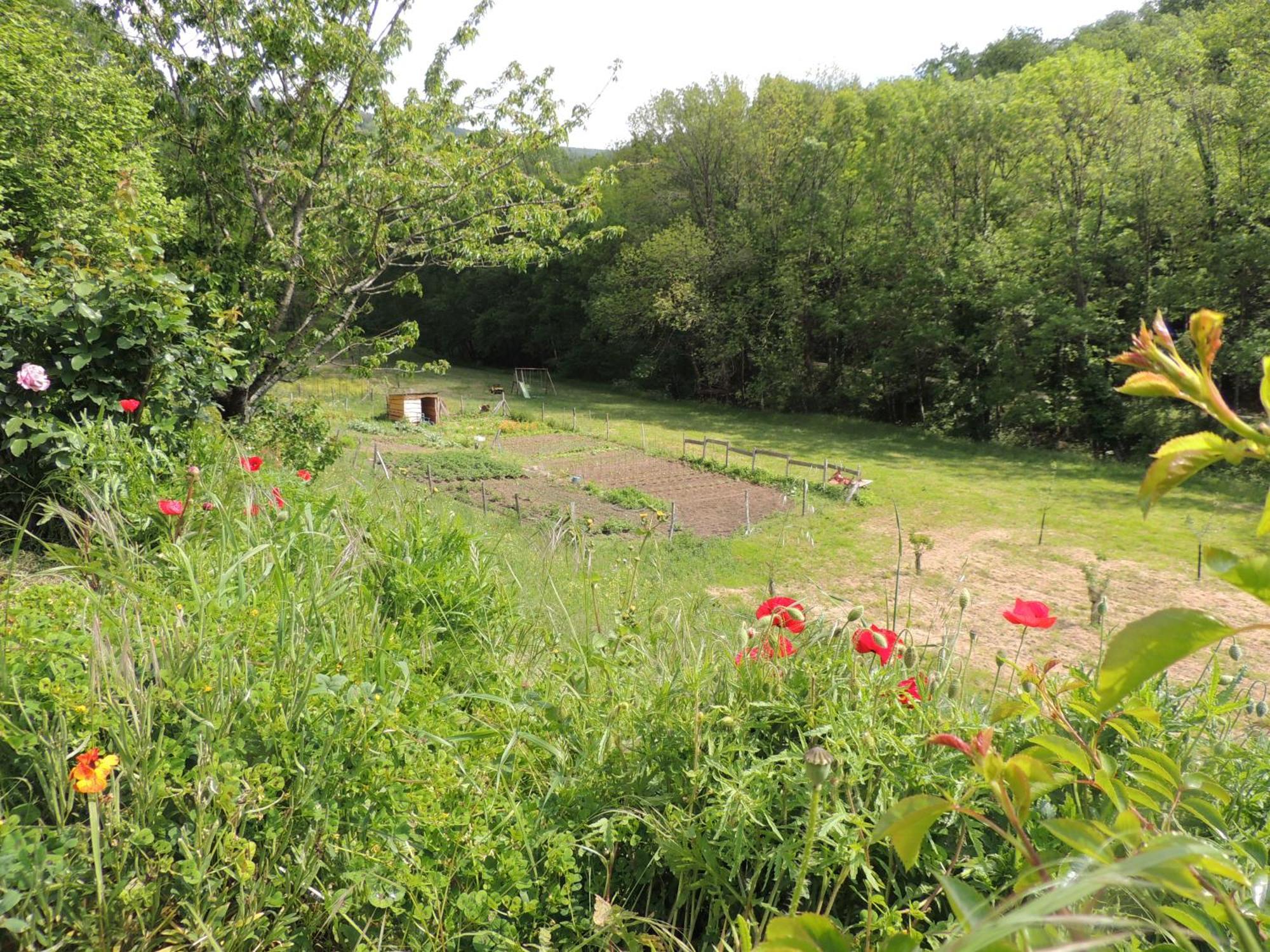 Nabat Le Haut, Chambre Et Table D'Hotes Courniou Bagian luar foto