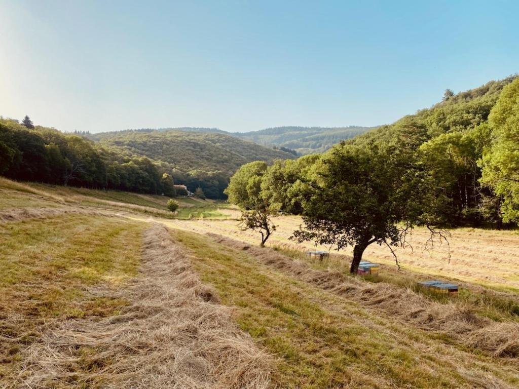 Nabat Le Haut, Chambre Et Table D'Hotes Courniou Bagian luar foto