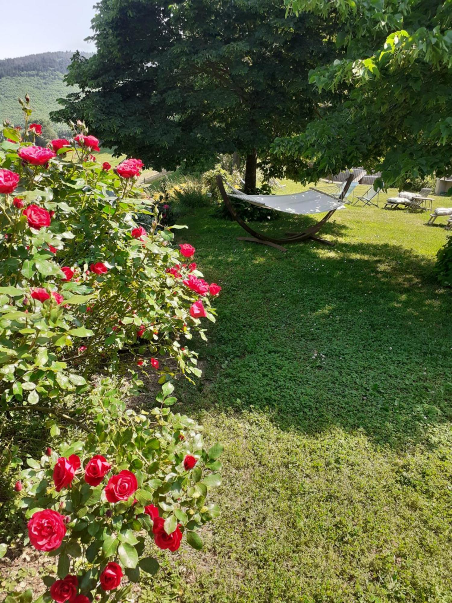 Nabat Le Haut, Chambre Et Table D'Hotes Courniou Bagian luar foto