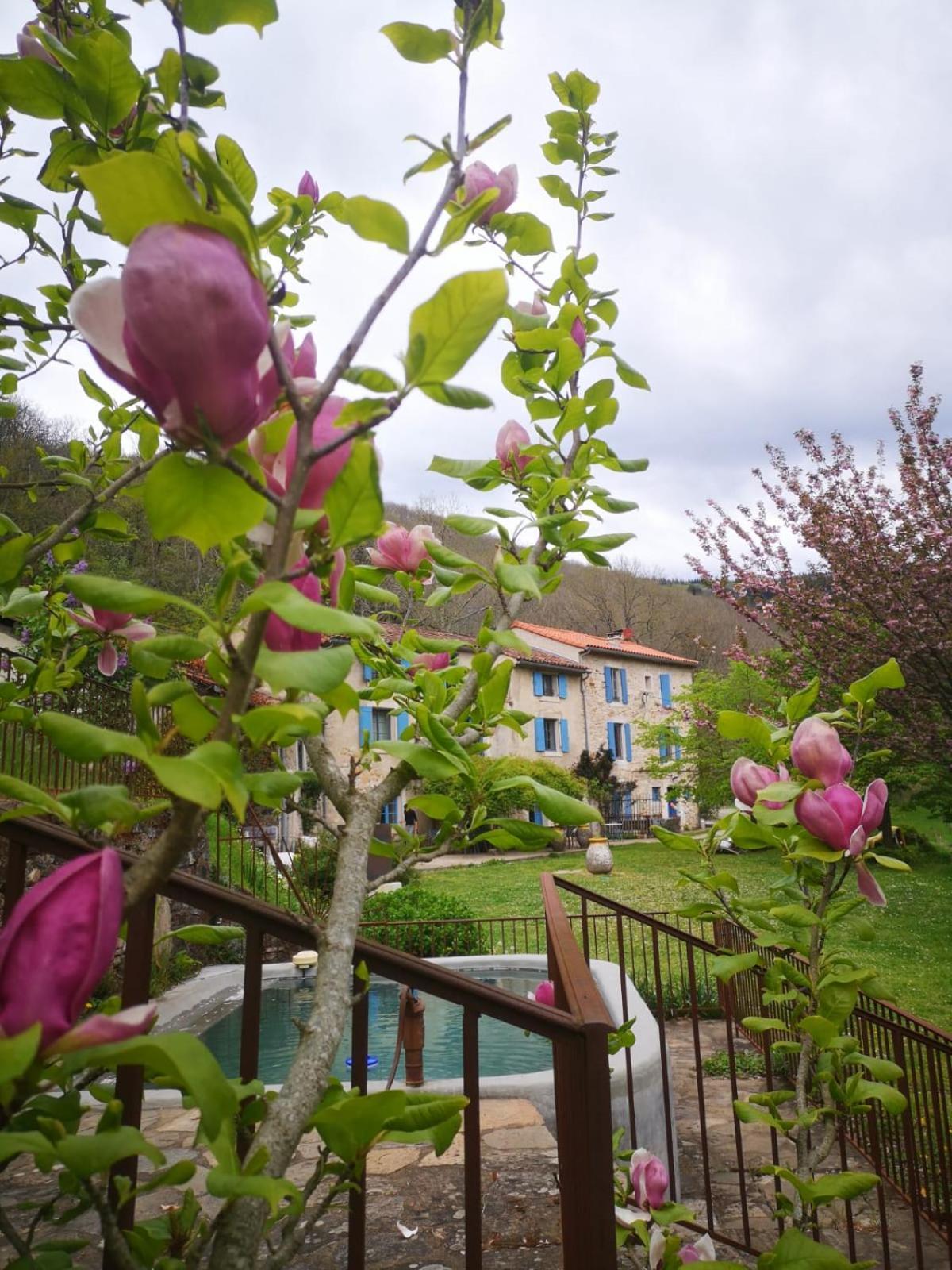 Nabat Le Haut, Chambre Et Table D'Hotes Courniou Bagian luar foto